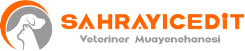 Sahrayıcedit Veteriner Kliniği | Kadıköy Ataşehir Bölgesi Veteriner Kliniği